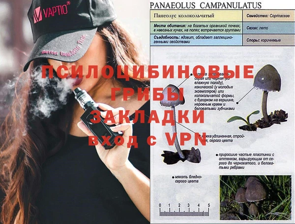 MESCALINE Алексеевка