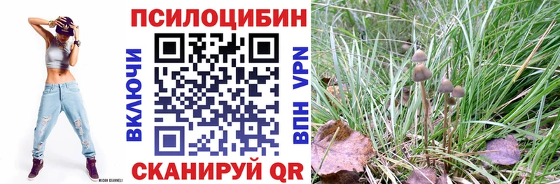 мега как зайти  Звенигород  Галлюциногенные грибы прущие грибы 