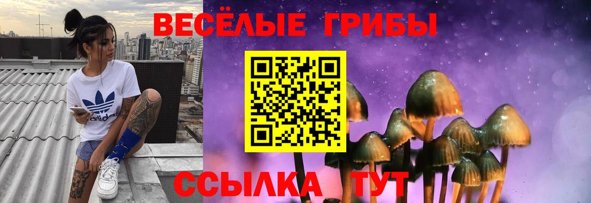 Псилоцибиновые грибы MAGIC MUSHROOMS  Вход с VPN  Звенигород 